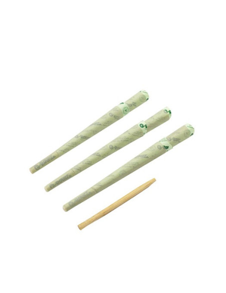 CONOS G-ROLLZ KING SIZE ORGANIC GREEN HEMP PETS 6 X 24 UDS PR1174KA