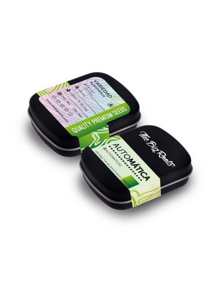 TBR BIG CRITICAL AUTO