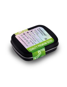 TBR BUBBA KUSH AUTO 2