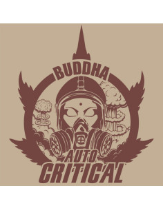 BUDDHA AUTO CRITICAL CLASSICS 3+1 2