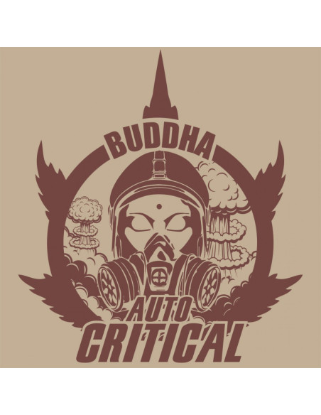 BUDDHA AUTO CRITICAL CLASSICS 3+1