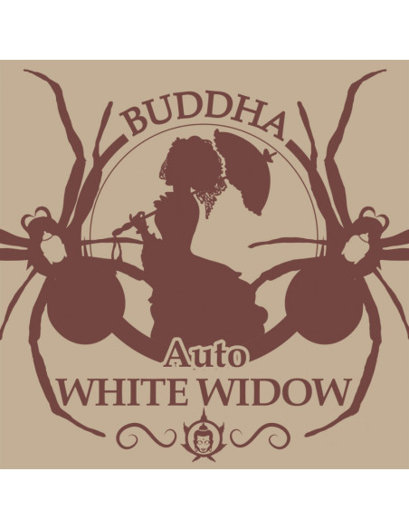 BUDDHA AUTO WHITE WIDOW CLASSICS 3+1