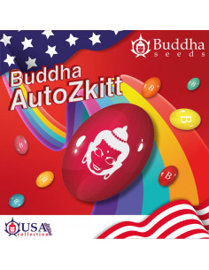BUDDHA AUTO ZKITT USA 3+1 2