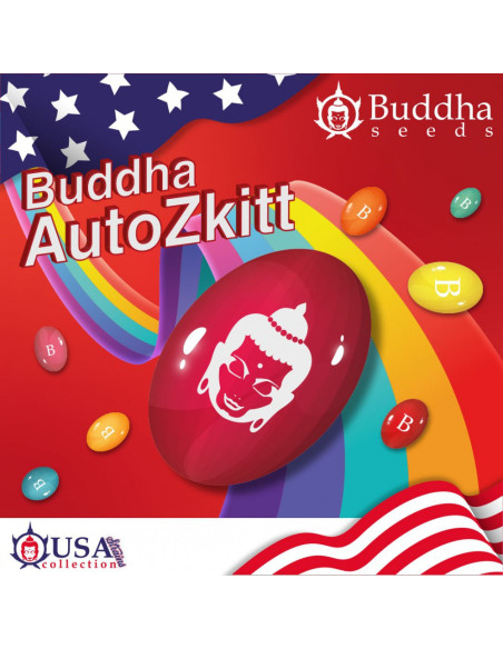 BUDDHA AUTO ZKITT USA 3+1