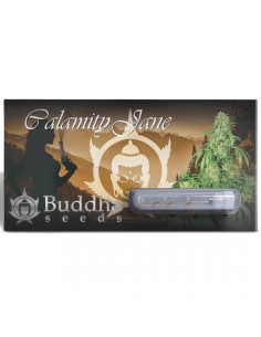 BUDDHA CALAMITY JANE AUTO X3