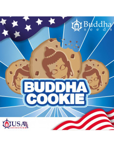 BUDDHA COOKIE USA FEM X3 2