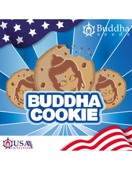 BUDDHA COOKIE USA FEM X3