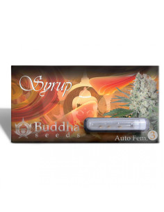 BUDDHA SYRUP AUTO X3