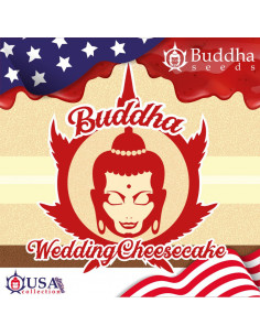 BUDDHA WEDDING CHEESECAKE USA FEM 3+1 2