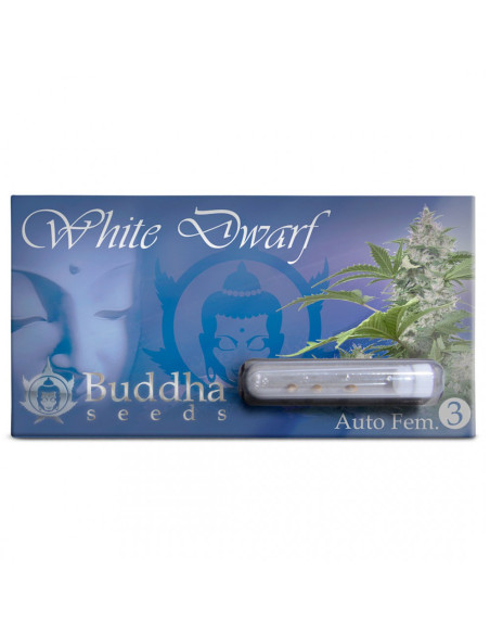BUDDHA WHITE DWARF AUTO X3