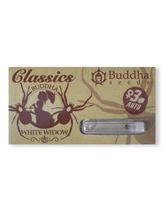 BUDDHA AUTO WHITE WIDOW CLASSICS 3+1