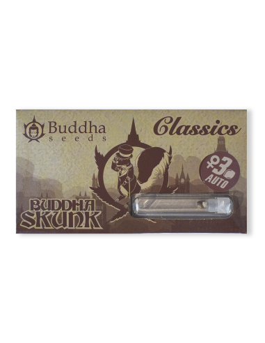BUDDHA AUTO SKUNK CLASSICS X3