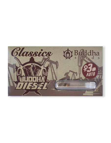 BUDDHA AUTO DIESEL CLASSICS 3+1