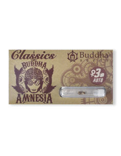 BUDDHA AUTO AMNESIA CLASSICS 3+1