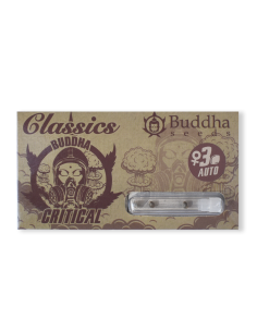 BUDDHA AUTO CRITICAL CLASSICS 3+1