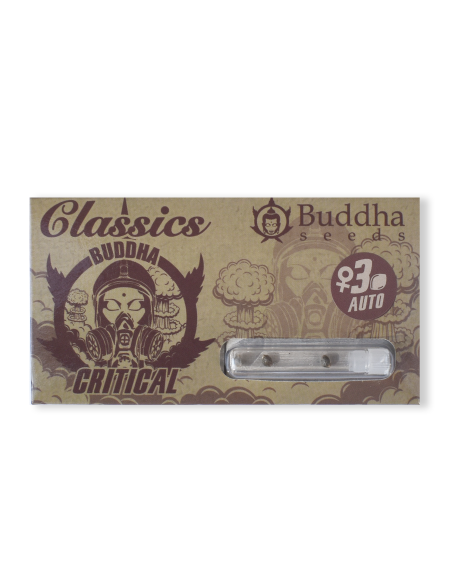 BUDDHA AUTO CRITICAL CLASSICS 3+1