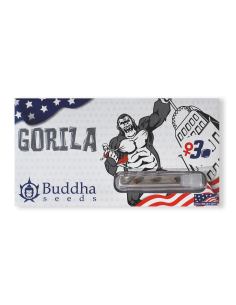 BUDDHA GORILA USA FEM X3