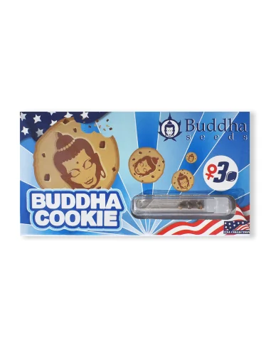 BUDDHA COOKIE USA FEM X3