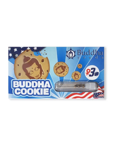 BUDDHA COOKIE USA FEM X3