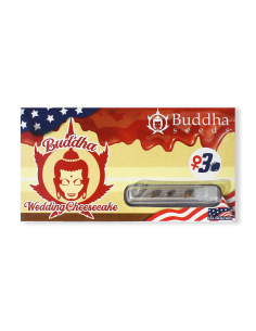 BUDDHA WEDDING CHEESECAKE USA FEM 3+1