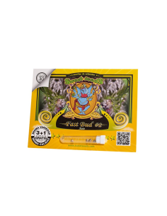 SWEET SEEDS FAST BUD 2 AUTO 3+1 UDS
