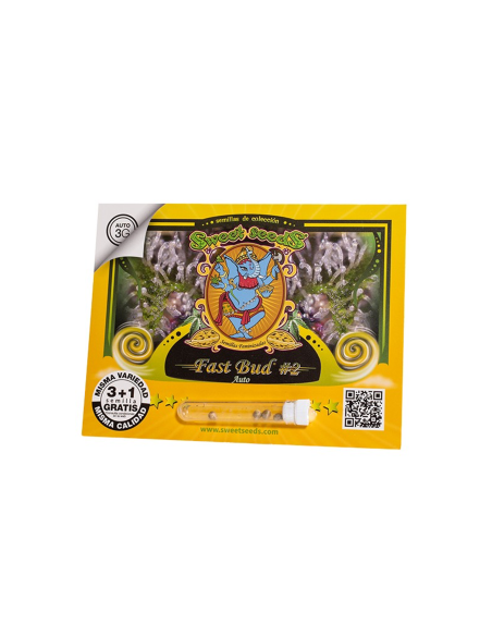 SWEET SEEDS FAST BUD 2 AUTO 3+1 UDS