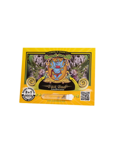 SWEET SEEDS FAST BUD AUTO 3+1 UDS