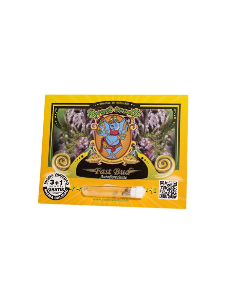 SWEET SEEDS FAST BUD AUTO 3+1 UDS