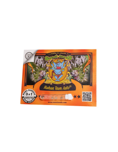 SWEET SEEDS MOHAM RAM AUTO 3+1 UDS