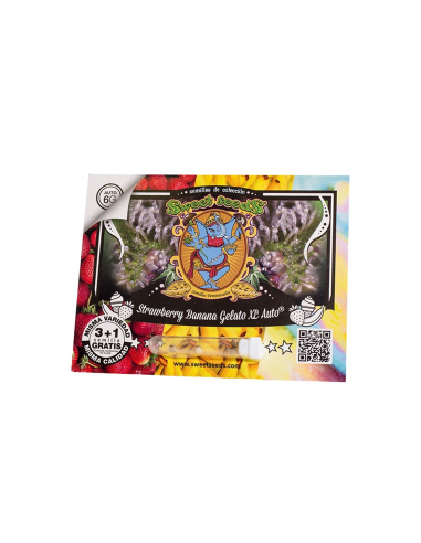 SWEET SEEDS STRAWBERRY BANANA GELATO XL AUTO...