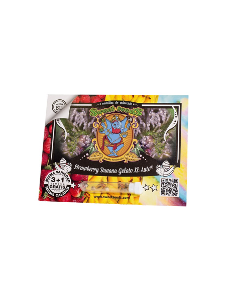 SWEET SEEDS STRAWBERRY BANANA GELATO XL AUTO 3+1 UDS