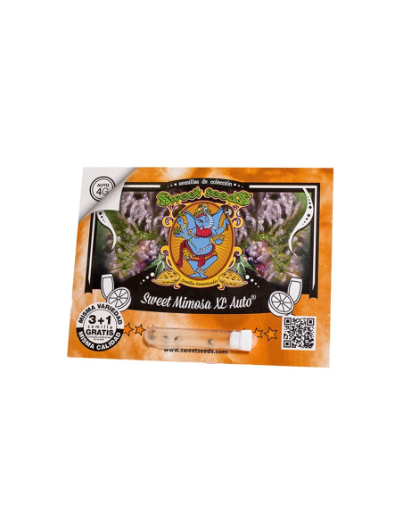 SWEET SEEDS SWEET MIMOSA XL AUTO 3+1 UDS