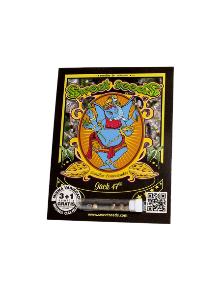 SWEET SEEDS JACK 47 3+1 UDS