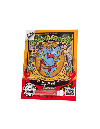 SWEET SEEDS BIG DEVIL F1 FAST VERSION 3+1 UDS