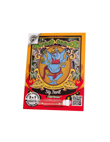 SWEET SEEDS BIG DEVIL F1 FAST VERSION 3+1 UDS