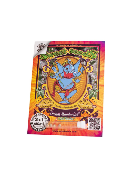 SWEET SEEDS CREAM MANDARINE F1 FAST VERSION 3+1 UDS