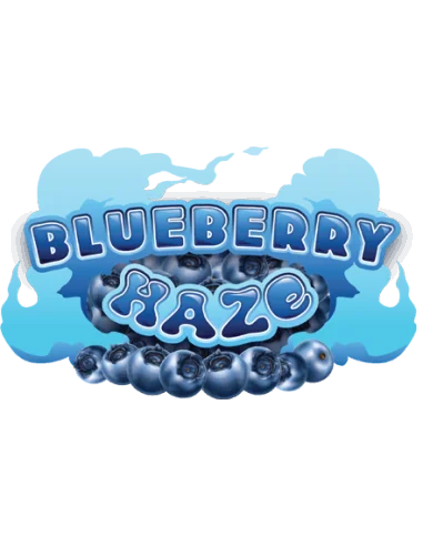 CARTRIDGE MUHA MEDS BLUEBERRY HAZE 0,8ML