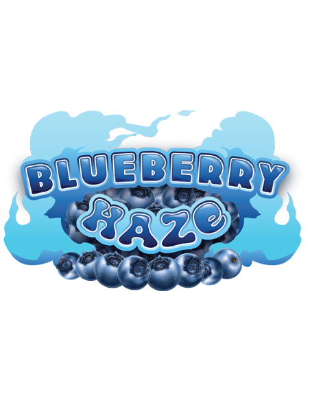 CARTRIDGE MUHA MEDS BLUEBERRY HAZE 0,8ML