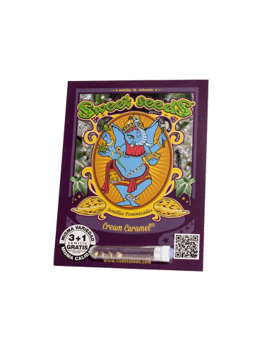 SWEET SEEDS CREAM CARAMEL 25 UDS