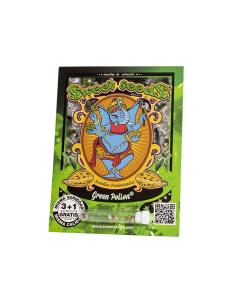 SWEET SEEDS GREEN POISON 25 UDS