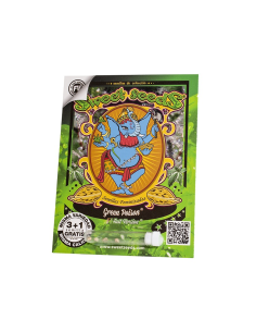 SWEET SEEDS GREEN POISON F1 FAST VERSION 100 UDS