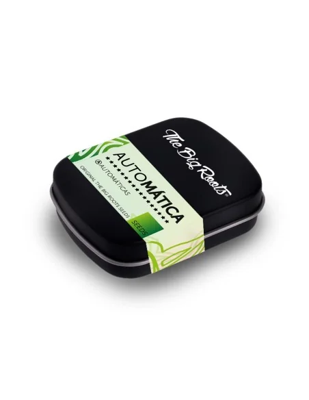 TBR BIG CRITICAL AUTO 2X1