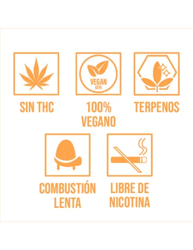 LRC HEMP CONES GELATO BERRY 12 UDS