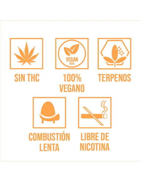 LRC HEMP CONES TERPENO GELATO12 UDS