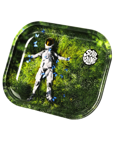 SOULBLIME BANDEJAS METALICAS FOTOS MIX DISPLAY...