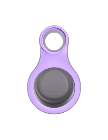 CONECTOR CARTA SPORT LILAC FOCUS V