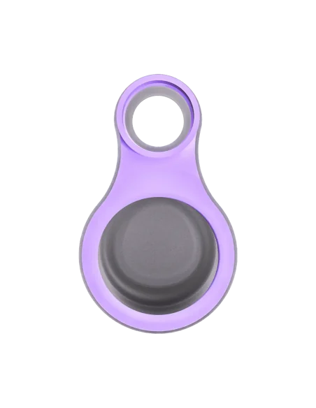 CONECTOR CARTA SPORT LILAC FOCUS V
