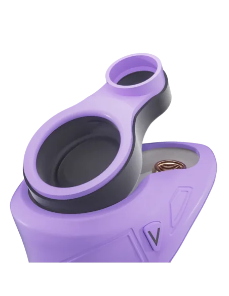 CONECTOR CARTA SPORT LILAC FOCUS V