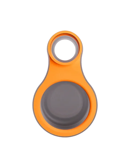 CONECTOR CARTA SPORT TANGERINE FOCUS V