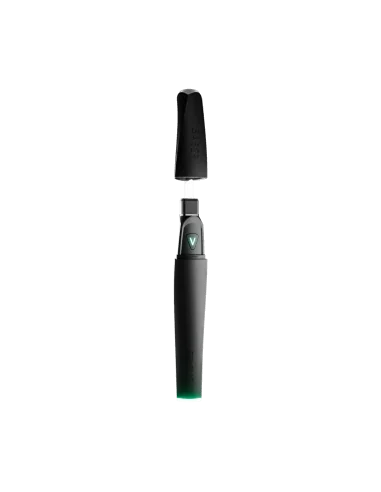 DABBER ELÉCTRICO SABER BLACK FOCUS V
